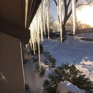 Meet your Posher, Hala